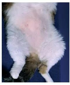 建站程序怎么选才能不踩坑？