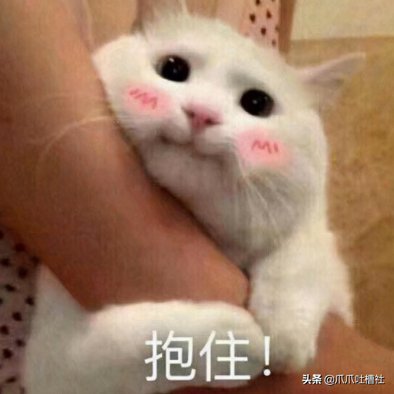 淘宝客源推广是什么意思？如何有效增加淘宝店铺客源？