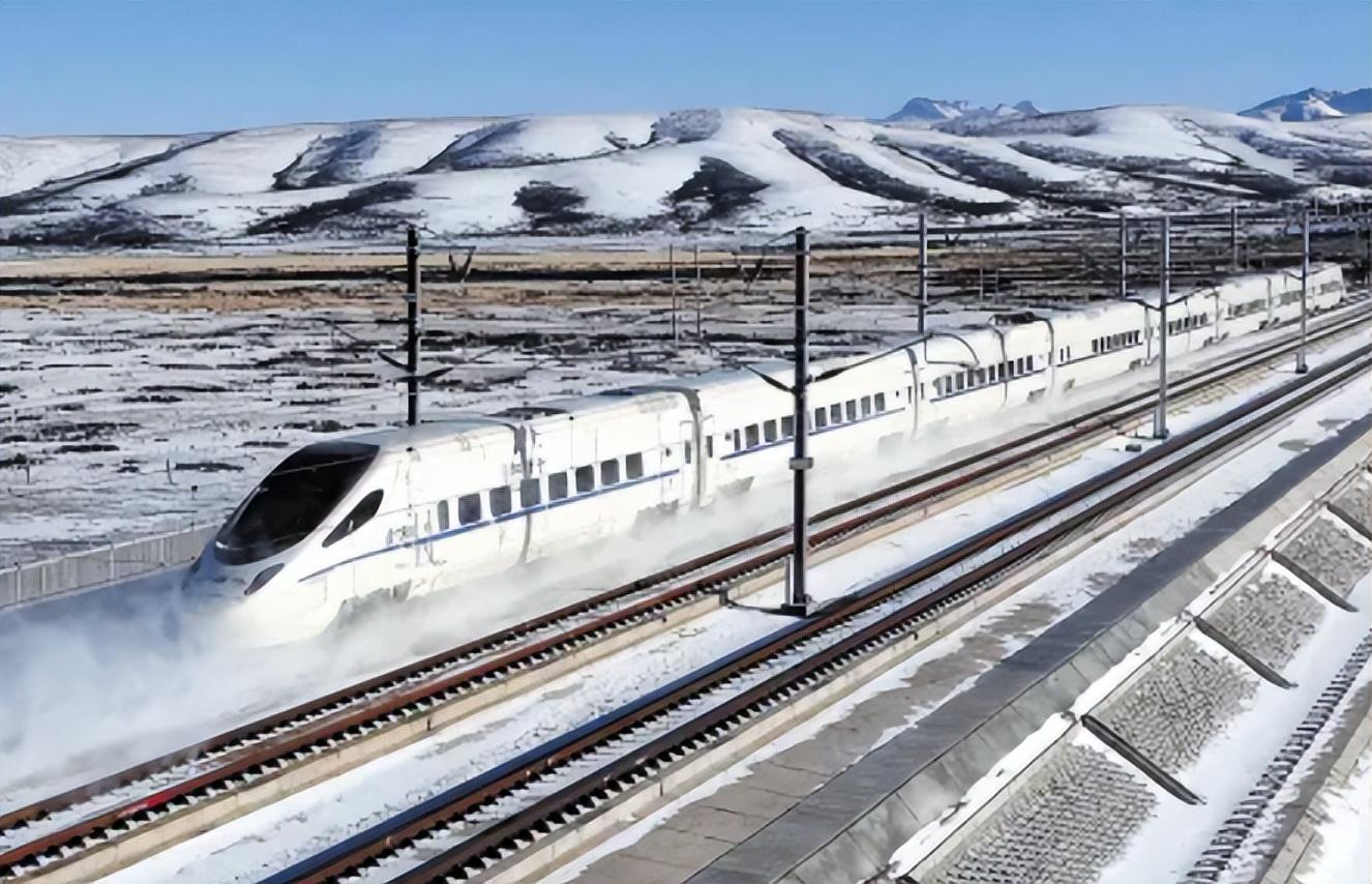 波奇全方位关爱宠物生活,宠物的贴心伙伴 波奇全方位关爱宠物生活,宠物的贴心伙伴