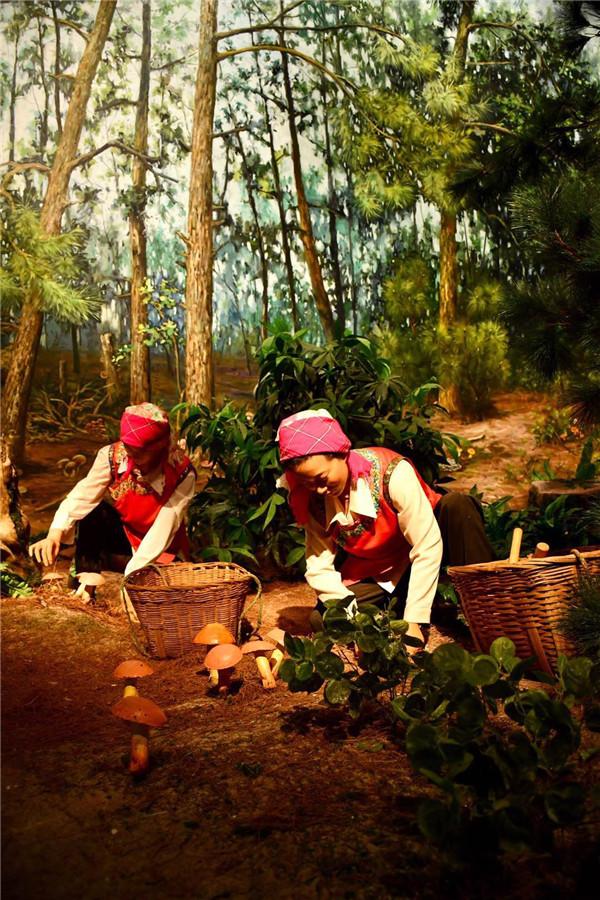 黄粉虫养殖真能躺着赚钱吗？