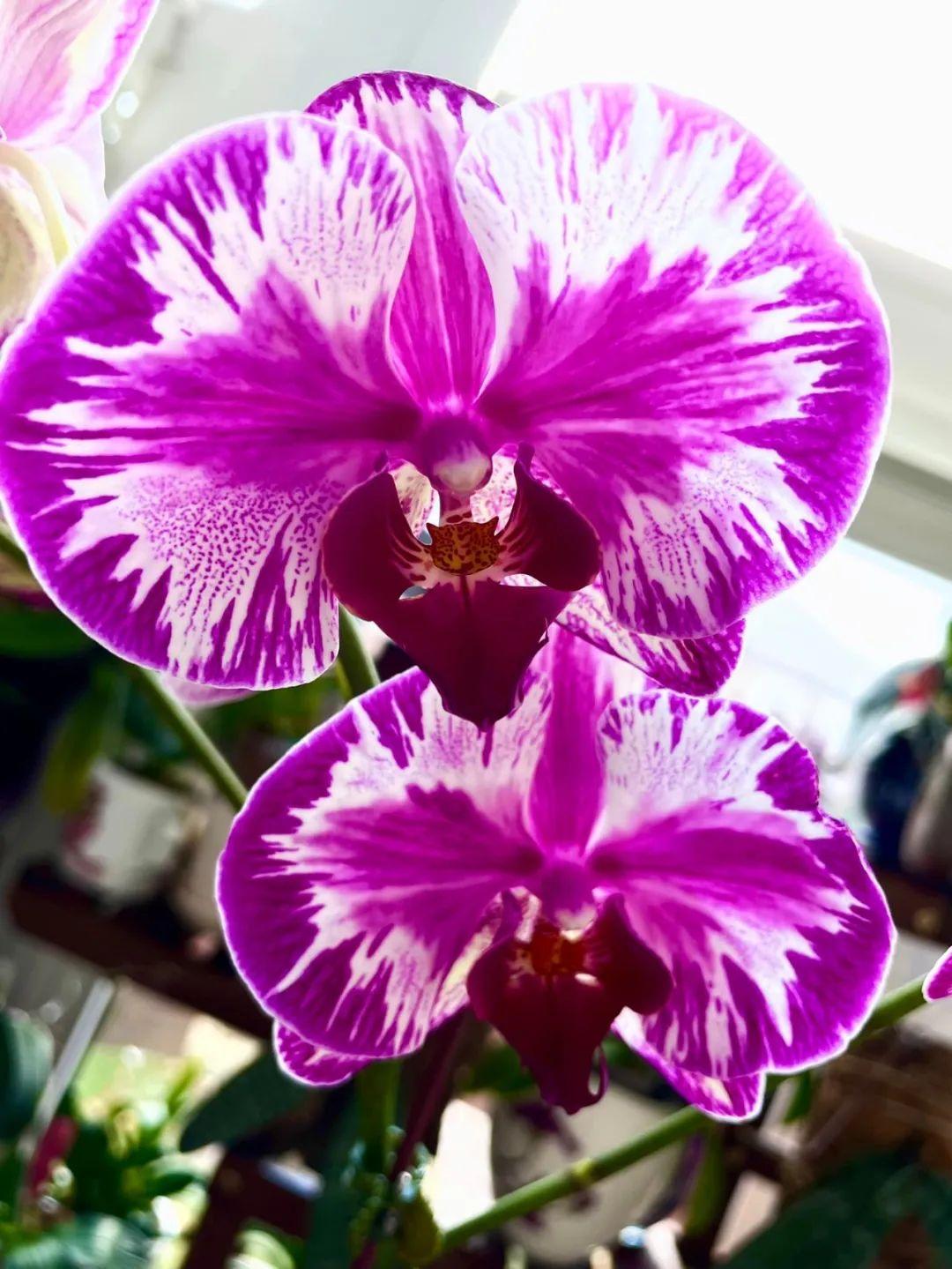 2月24到底该怎么过？新手避坑指南来了