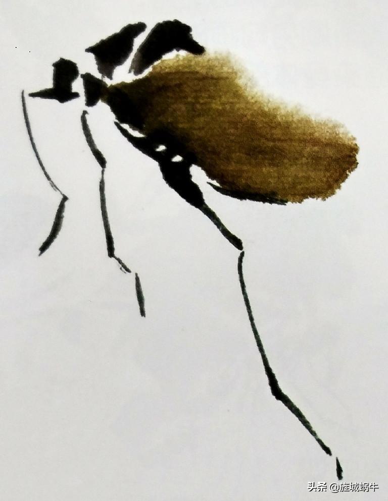 纺织娘真的适合零基础新手吗？