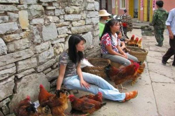 淘宝旺铺模板到底值不值得花钱买？