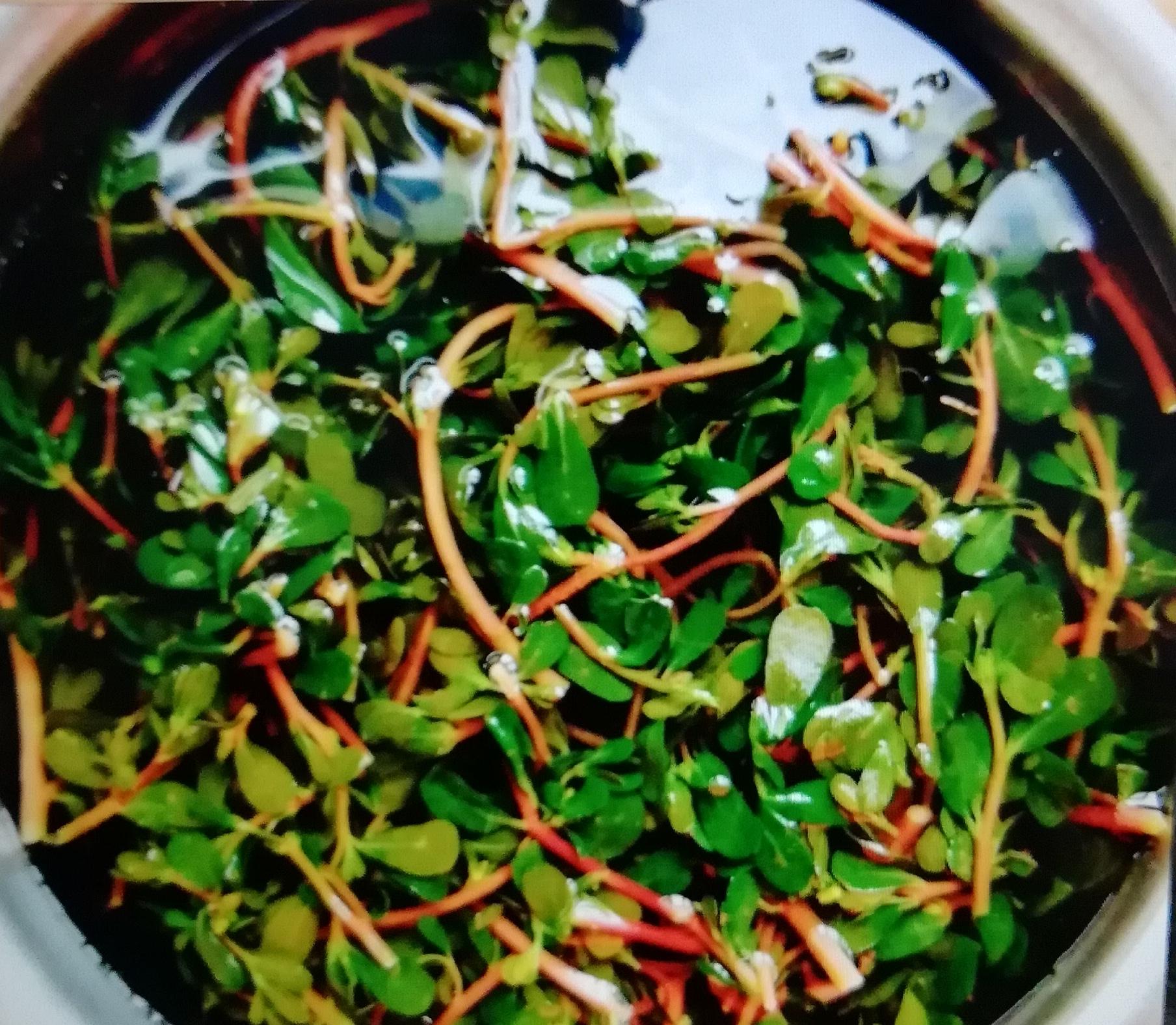 网上测五行真的能信吗？