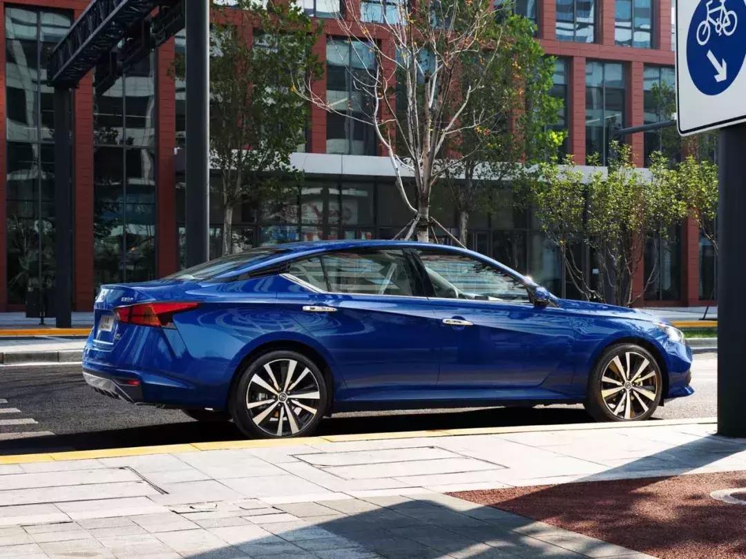 波兰兔吃什么？青干草与兔粮的最佳配比指南