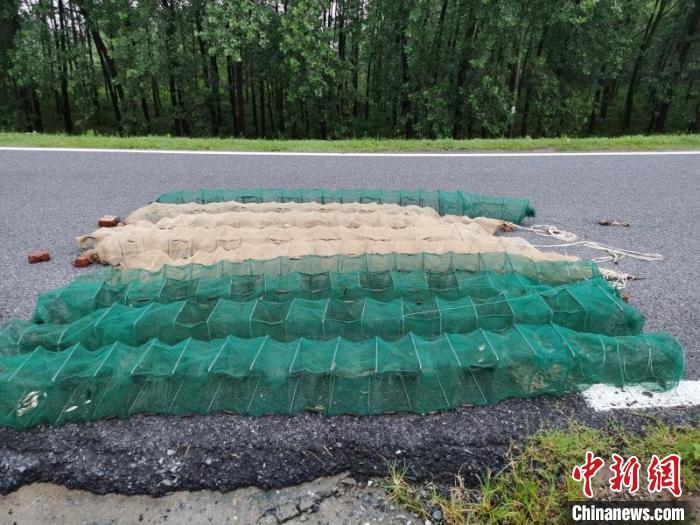 长江南京段江豚濒临灭绝，仅剩50多头，保护刻不容缓