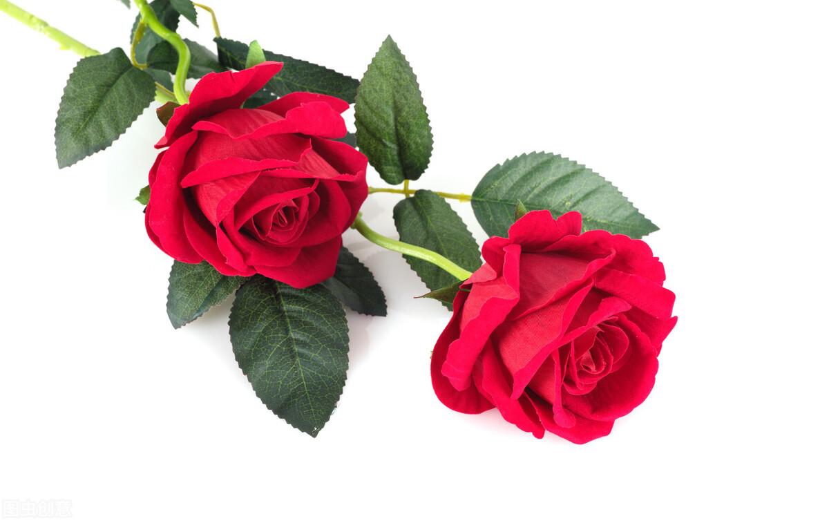 新手玩杜彩真的能赚到钱吗？