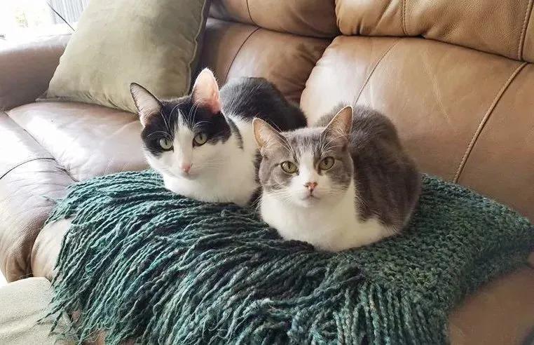 马六甲华人论坛到底怎么玩？手把手教你避坑指南！