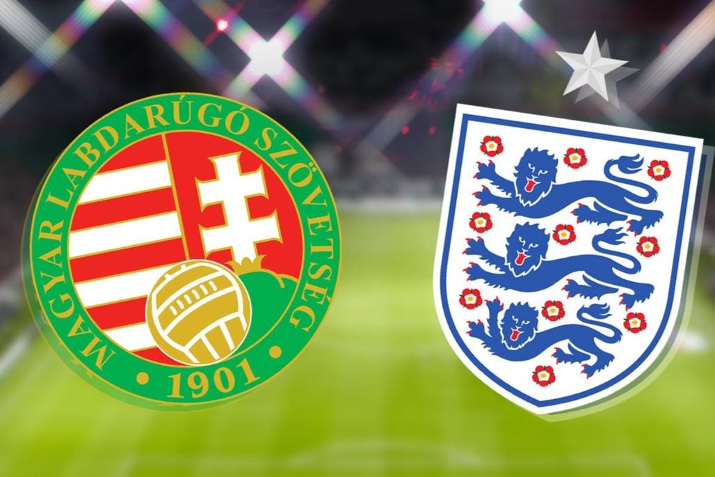 巴西龟冬天会把自己冻成冰块吗？