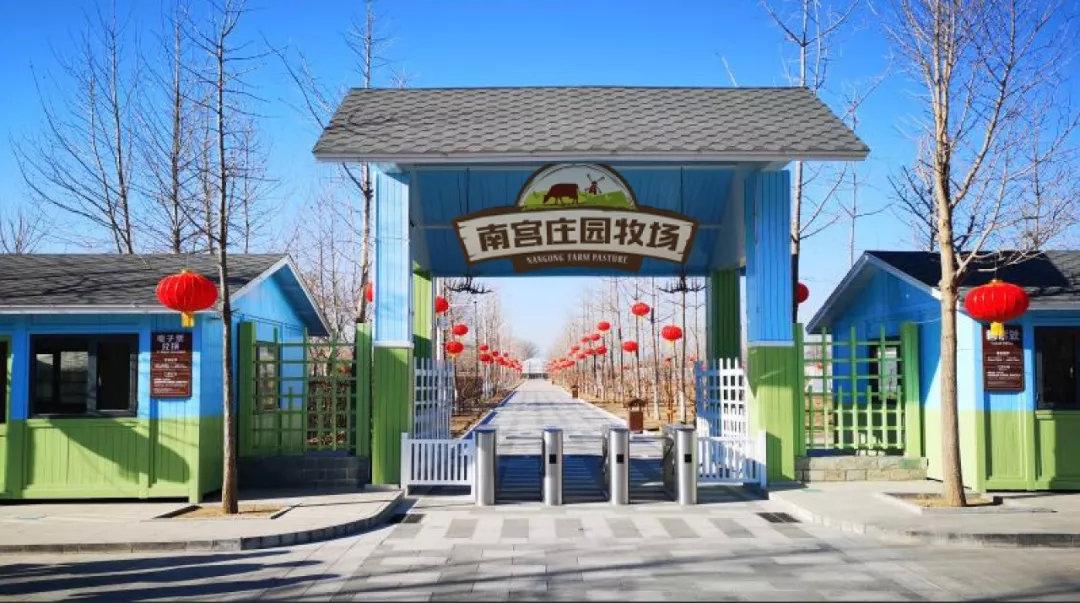 龙猫是猫吗蚂蚁庄园？