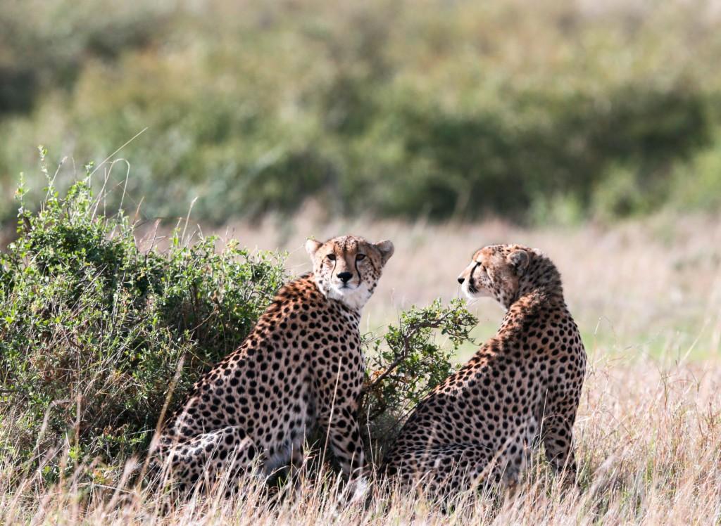 2012年6月13日出生的人五行缺什么？解析命理与五行平衡