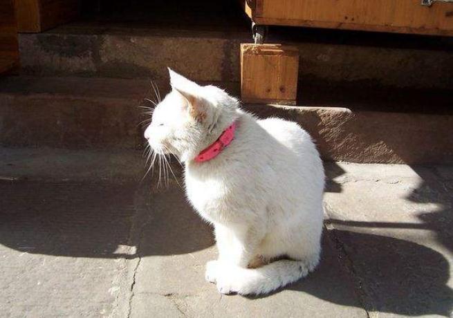 你的厂名为什么总被驳回？