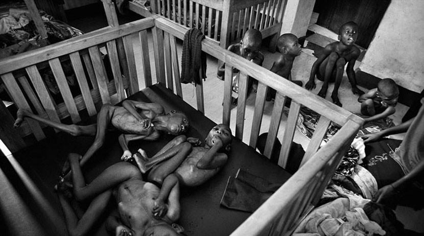 养索马里猫真的会让人上瘾吗？