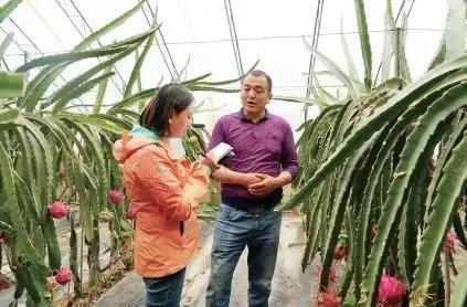 淘宝农场真能免费换水果？新手入门攻略来了！