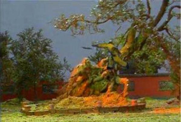 新手怎么选到人生第一把趁手的铎？