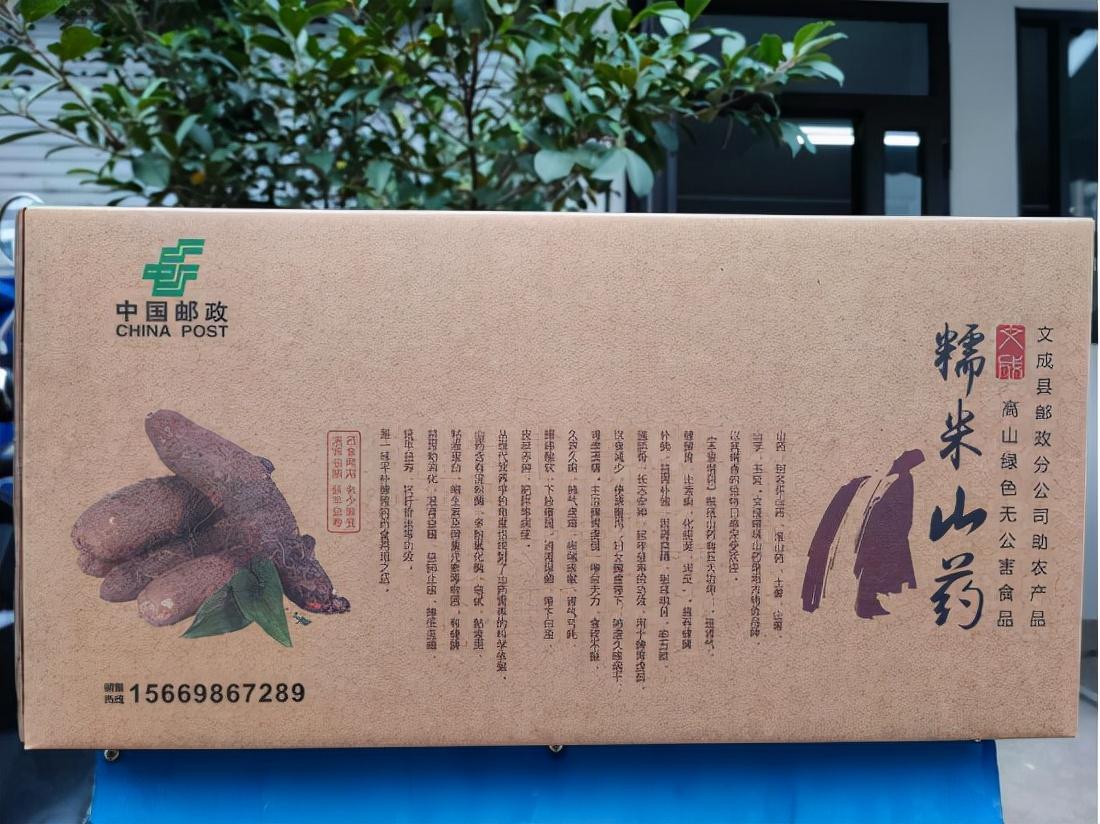 深入探讨观赏鱼活饵选择与投饵技巧的全面指南