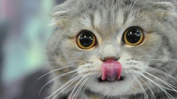 2024年9月黄道吉日乔迁指南：选个好日子，搬进新家更顺利