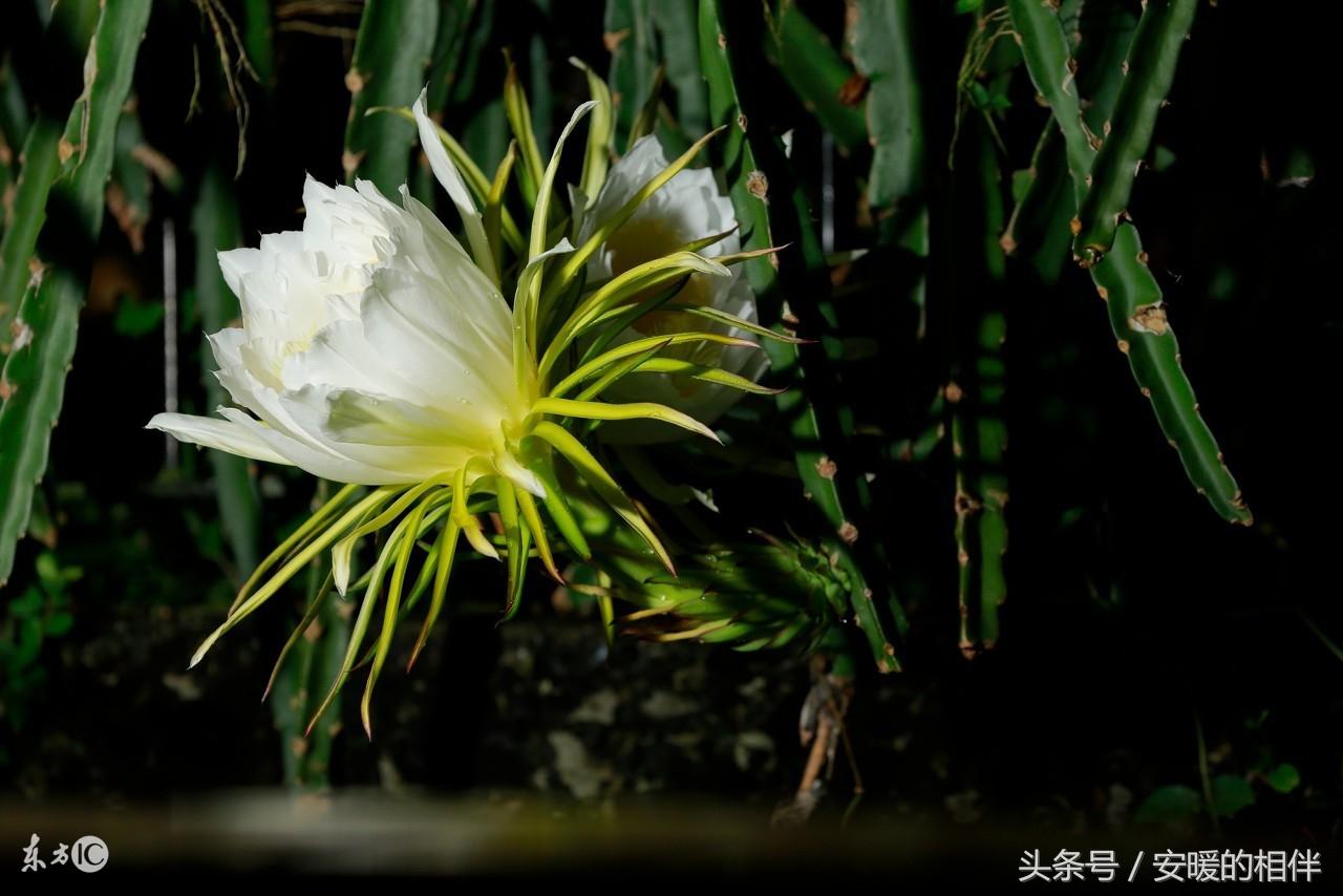 名字好坏真能决定人生成败吗？