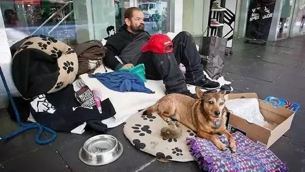 淘宝直通车恶意点击原理揭秘：如何防范与应对策略