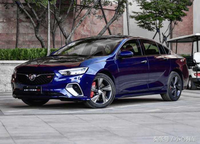 暗色吸蜜鹦鹉真的适合新手养吗？