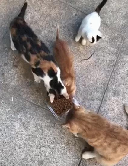 在淘宝开店不赚钱？微淘官网究竟藏着什么秘密？