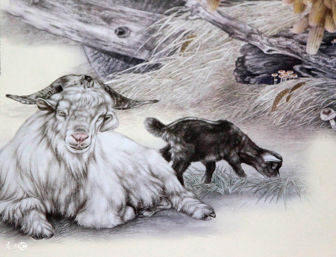 喜结连理到底指的是哪个生肖？