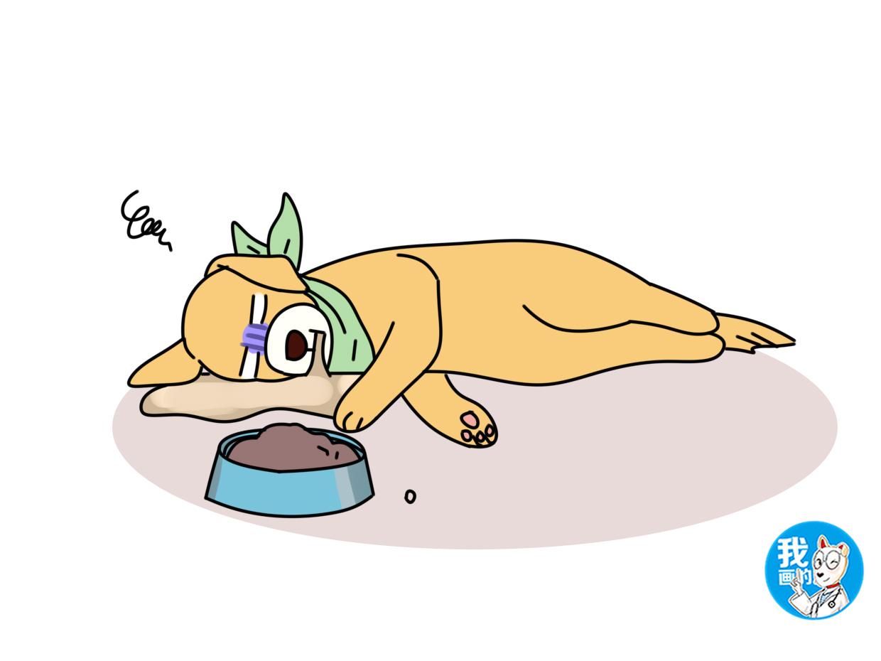 犬瘟热主要症状有哪些？全面解析犬瘟热的症状与预防