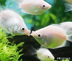 赖姓宝宝起名指南：如何为赖姓孩子取一个好听又有意义的名字