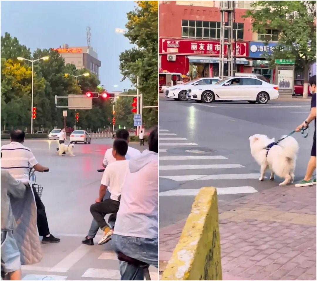 2013年农历日历该怎么用才不翻车？