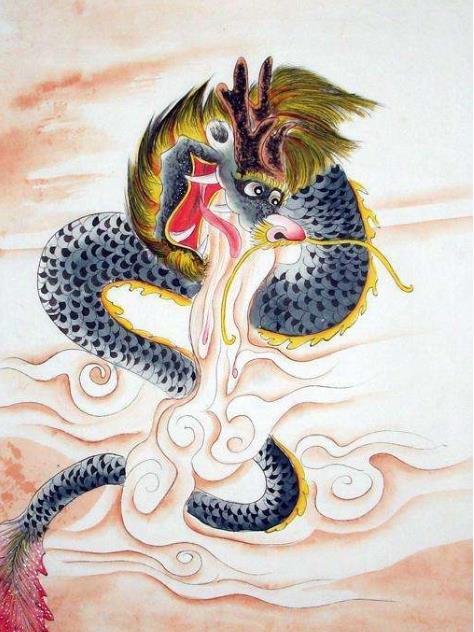 高背金龙鱼到底该怎么养才不会翻车？