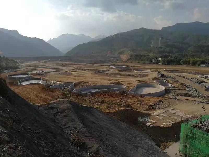 探索中国原生鱼类唇鲮的生态特点与保护措施