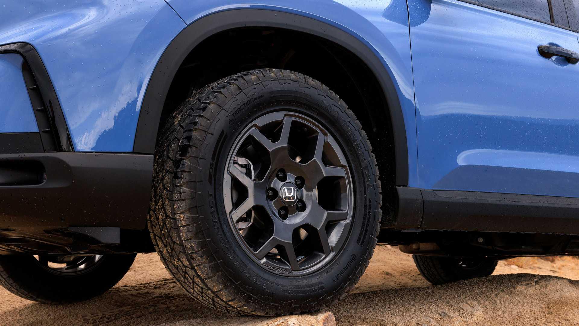 波奇网：萨摩耶犬好养吗？全面解析萨摩耶饲养要点