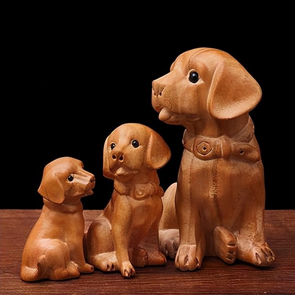 2024年属狗人真的会被身边人坑惨吗？