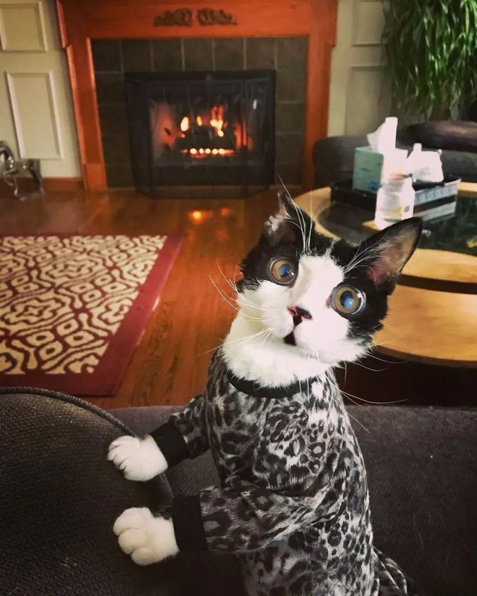 免费算八字合婚真的能测出姻缘好坏吗？