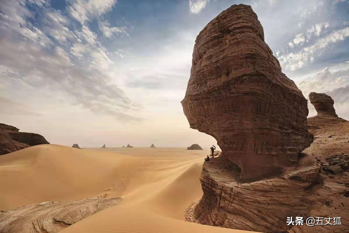 暗色吸蜜鹦鹉真的适合新手养吗？