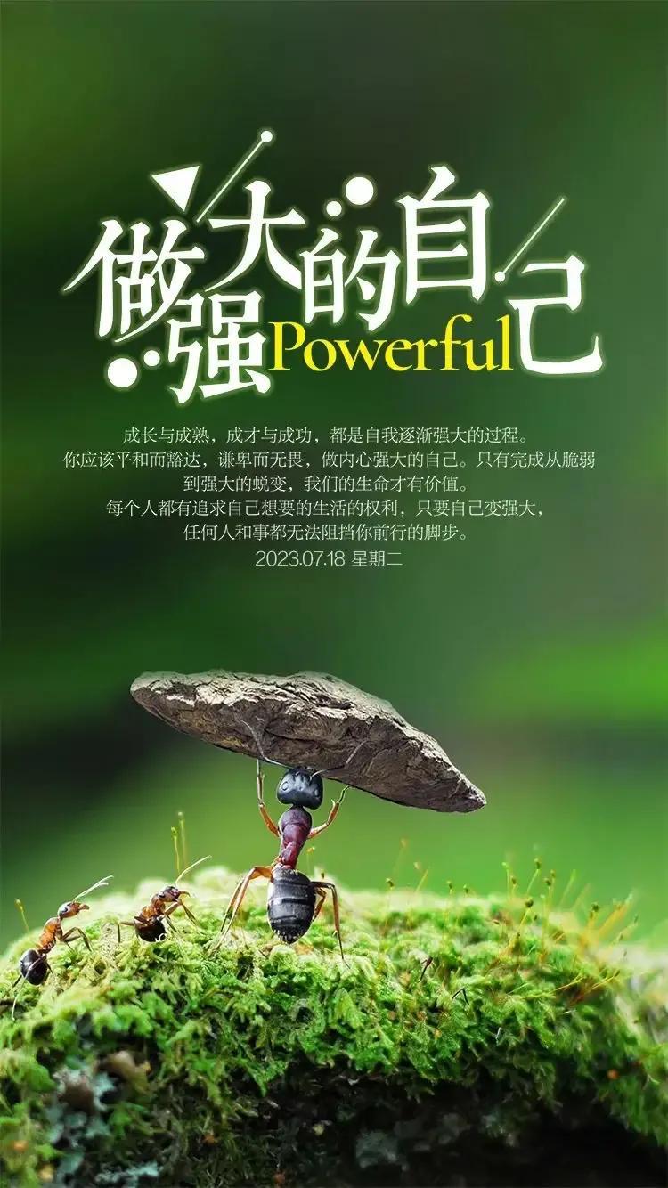 兔年真的是癸卯年吗？