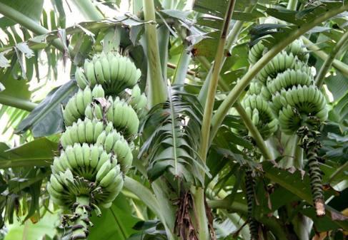 周易算命真能算出你的财运吗？