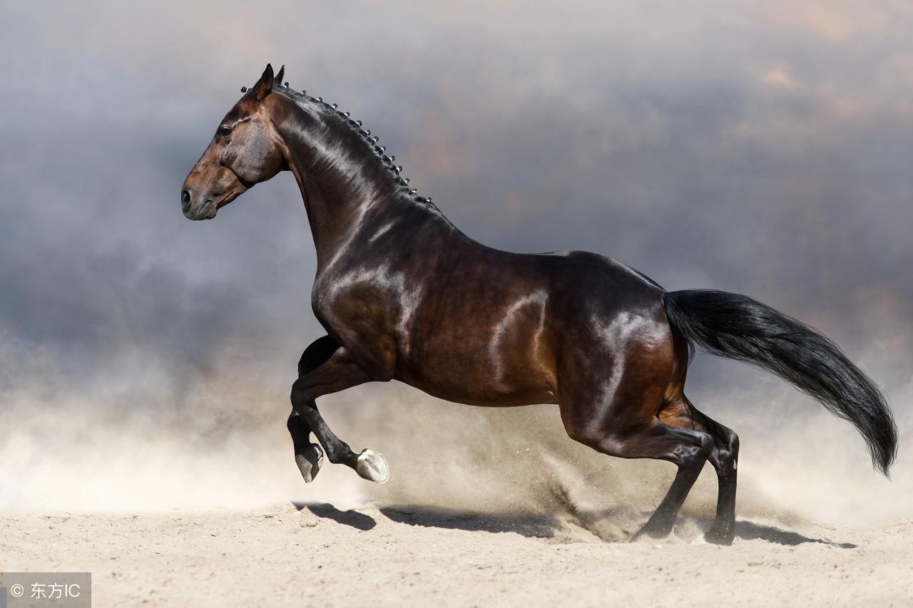 寿衣价格差10倍到底藏着什么猫腻？