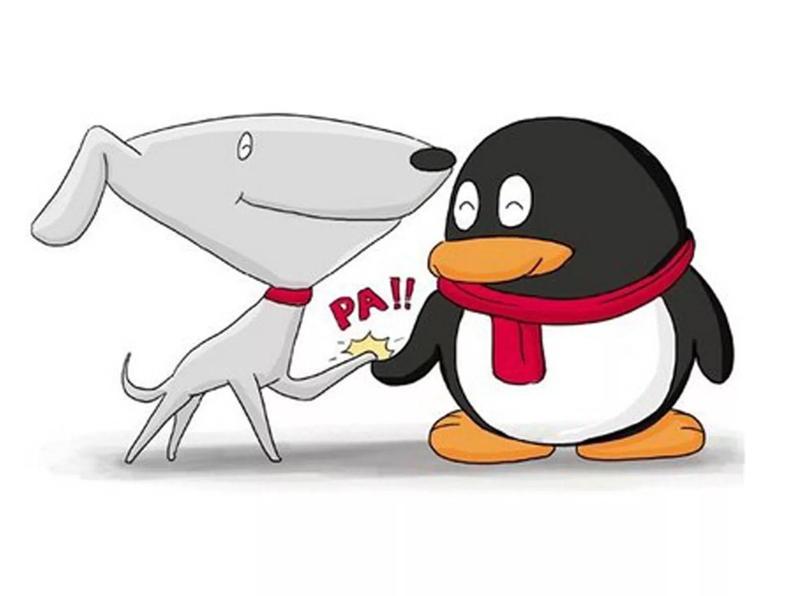 波奇网：萨摩耶幼犬的饲养方法全知道