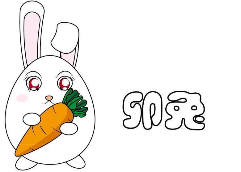 2019年生肖运势到底能不能信？