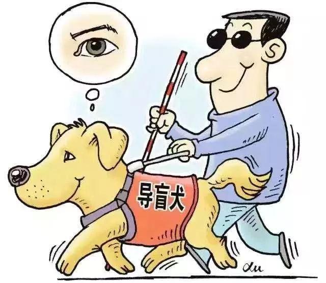 导盲犬坐公交车为什么总被司机拦下？