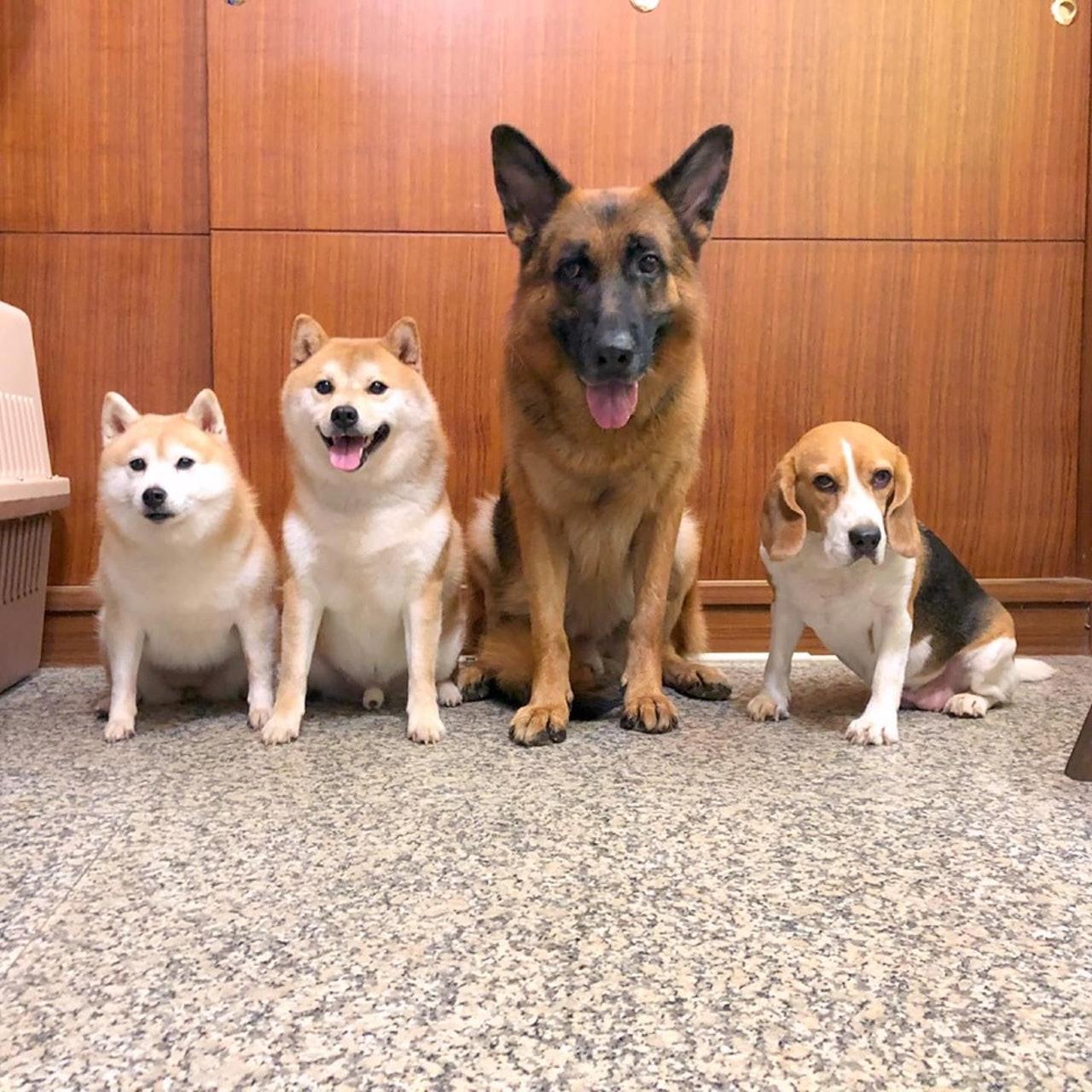 京东小金库的钱可以随时取出来吗？常见问题解答与使用指南