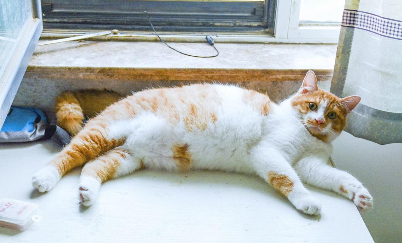 2016年4月16日发售的这款游戏，新手真的能活过第一关吗？