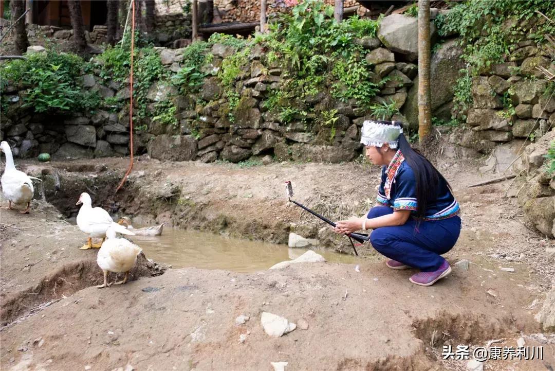 周易第十八卦蛊卦详解：山风蛊艮上巽下的卦象与含义解析