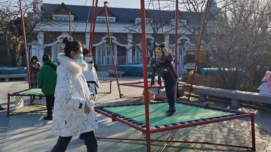 淘宝店铺掌柜信用分查看与提升全攻略，轻松提高店铺信誉