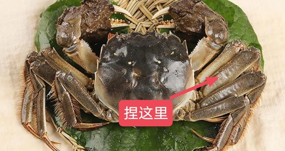 淘宝优品到底值不值得买？新手避坑指南