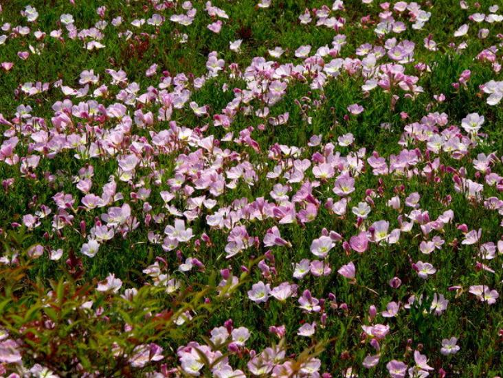 为什么扔铜钱就能预测未来？