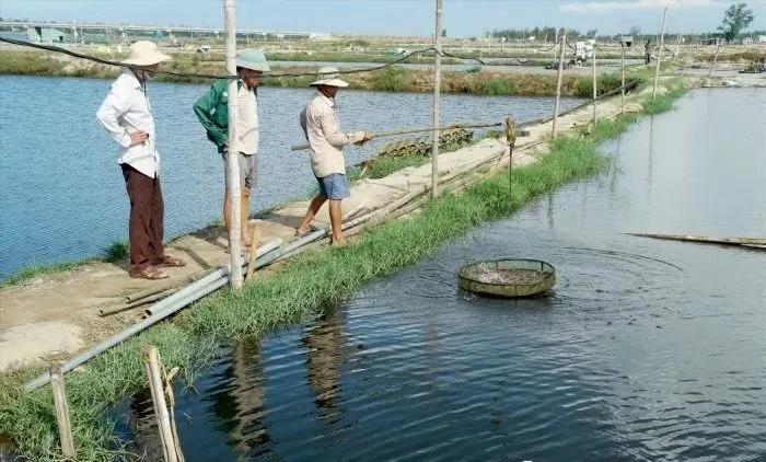 EM菌是智商税还是黑科技？