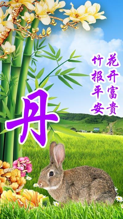 1975年属兔人48岁后运势会迎来大转折吗？