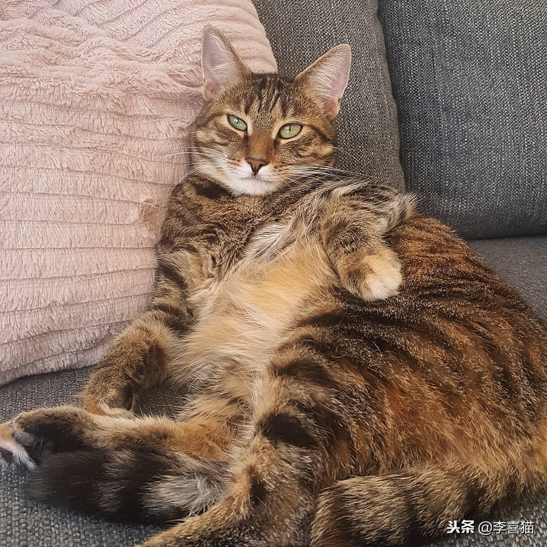 名字测试打分：全面了解名字背后的潜在价值与意义